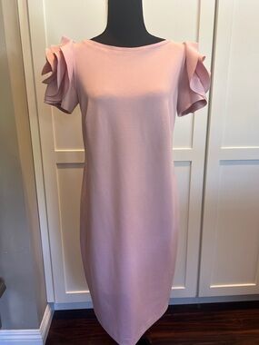 Pietro Brunelli Salisburgo Rose Ruffle Maternity Dress Pink XS